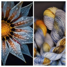 Photo of raindrops on a beautiful flower, and matching variegated yarn on various bases.