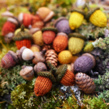 Tiny knitted acorns among real acorns and pinecones.