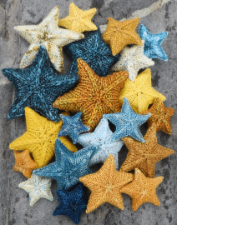 Dozens of knitted starfish in sea and sand colors.