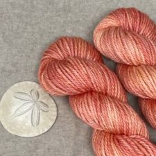 Tonal yarn in coral color, photographed with sand dollar shell.