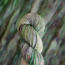 Variegated skein with speckles in houseplant colors.