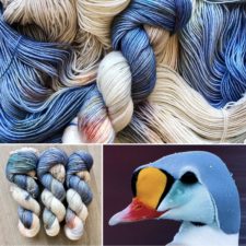 Colorful water bird and matching variegated skeins