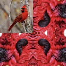 Cardinal in a tree with black and red skeins