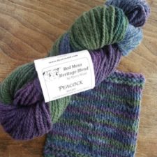 Variegated yarn in cool colors with swatch showing fast changing colors.