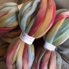 Soft colors of roving in a gently coiled skein.