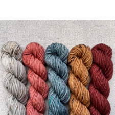 Five skeins in medium shades, three warm, one cool, one neutral.