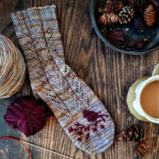 Simple lace socks with a colorwork bird on a branch silhouette at the bottom.