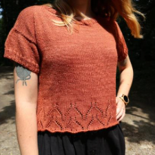 Short-sleeve sweater with lace detail for a few inches above the hem.