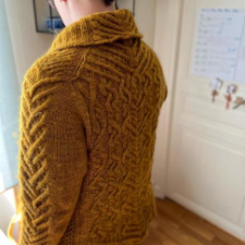 Long-sleeve cardigan with shawl collar. Back is covered in intricate cables. Front has a honeycomb panel. Sleeves have braided cables down the length.