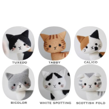 Close-ups of six cats, a tuxedo, tabble, cslico, bi-color, black and white spots, and a Scottish Fold.