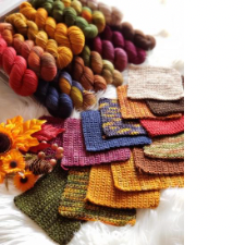 Fourteen skeins in medium fall colors, two-thirds semi-solid and the rest variegated.
