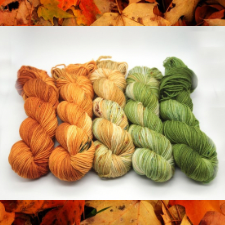 Five skeins transition from pumpkin orange to stem green.