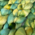 Braids of combed top spinning fiber in complementary yellows and greens.