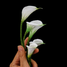 Hand holds five crocheted white calla lilies, with blooms around 2 inches or 5 centimeters each.
