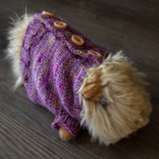 Plush guinea pig in sweater that buttons up the back.