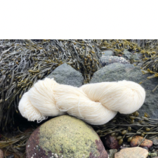 Creamy white skein on a mossy rock at the shore.
