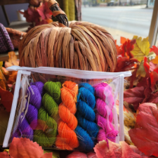 Mini set of five bright semisolid skeins in transparent zippered pouch.