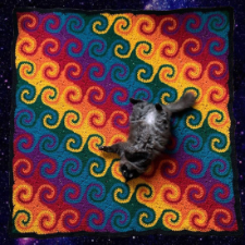 Cat is belly-up on multicolor blanket knit corner to corner with overlapping spirals.