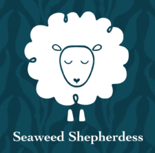 Sheep drawn on bed of seaweed with the words Seaweed Shepherdess